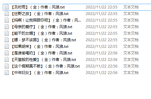 【自打包】小说贴-风狼作品合集(11本)
