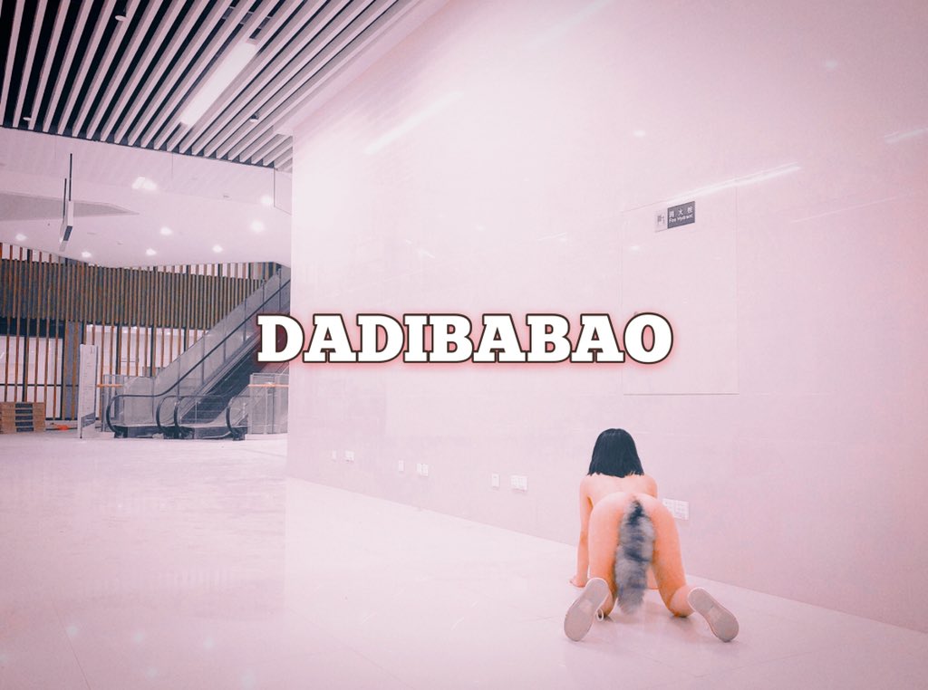 推特福利姬1-一只喔彩虹DADIBABAO等（126P+156V/833M）