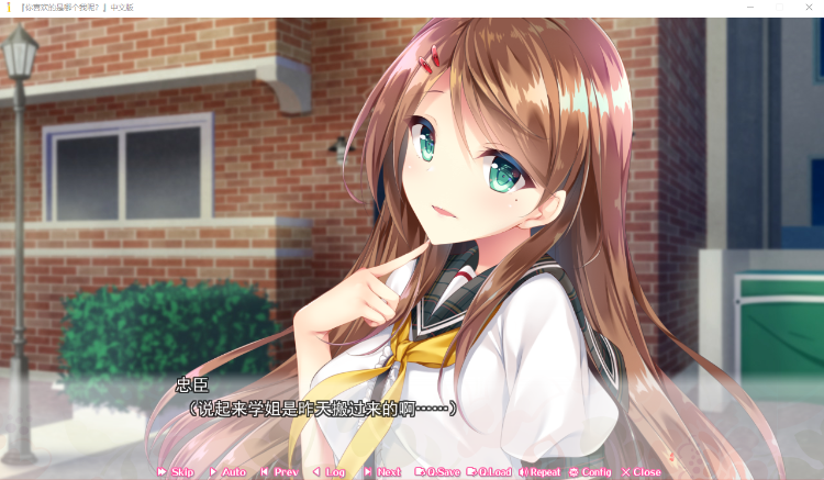 【精品ADV】你喜欢的是哪个我呢?汉化硬盘版