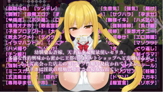 【爆款RPG】セリカマギア ～王都アダルトショップ編～ Ver1.06 AI汉化版