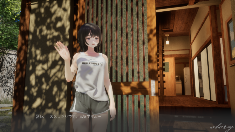 【互动SLG】[3D]なつねぇ ～僕が恋した30日～抢先体验版[生肉]