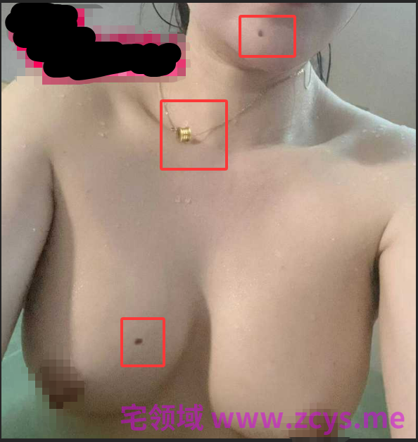 NO.2024 有瓜！B站酒酿Lily王充电专属 8V