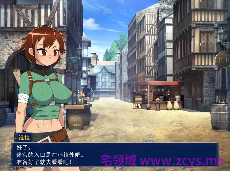 【日式RPG】循环迷宫:维拉的大冒险 Ver1.00 Steam官方中文步兵版
