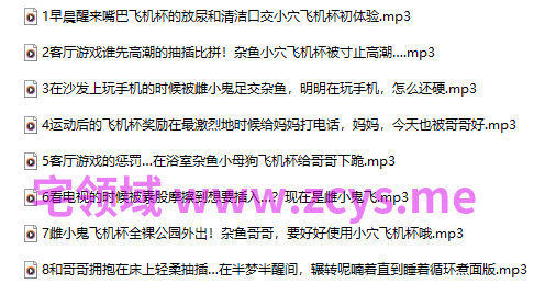 露珀塔   被邻家雌小鬼飞机杯的整日榨精2000ml挑战！577M百度盘