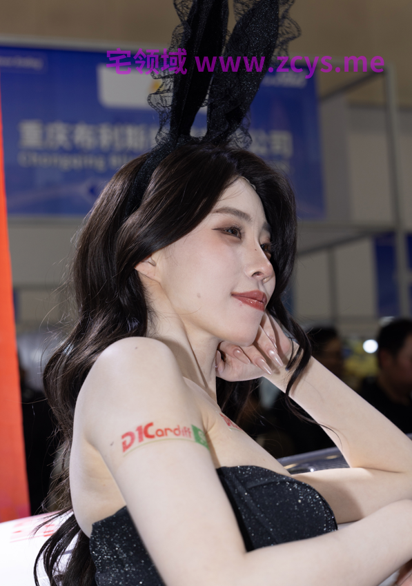 模特 数羊 油光黑丝兔女郎 【133P229M】