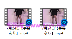 NO.3331 pomeko/ポメ子 手淫 7月24日 2V 5.76G