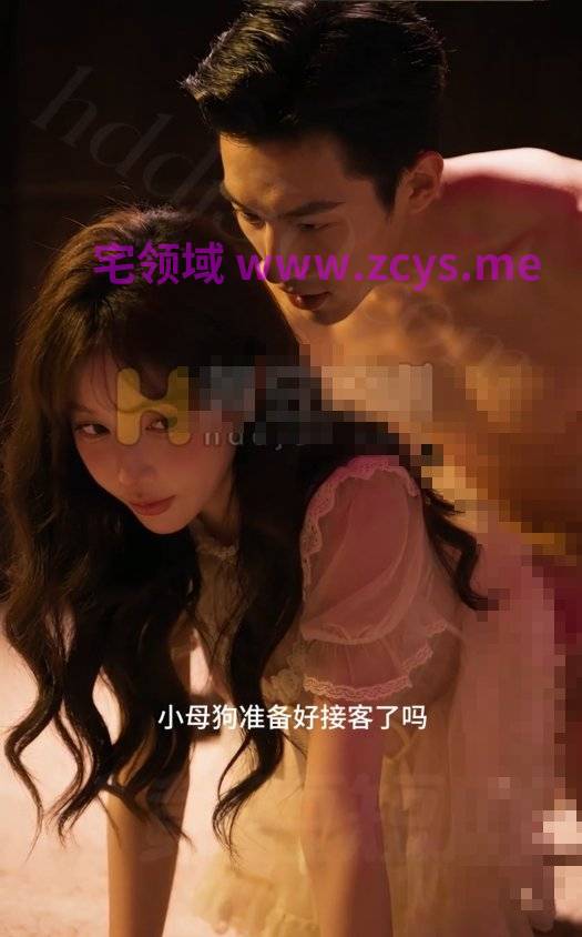 滴滴代操 1-8 完整版 2.69G 百度盘
