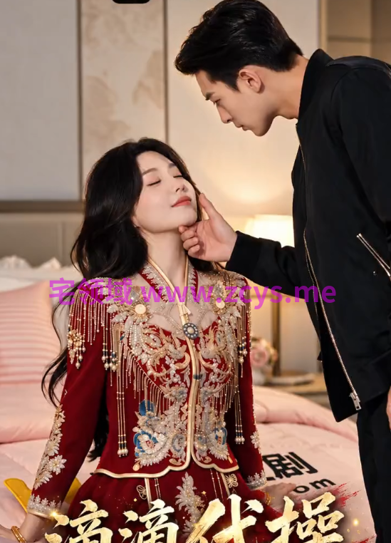 《滴滴代操》 第1-9集 1.64G 百度盘