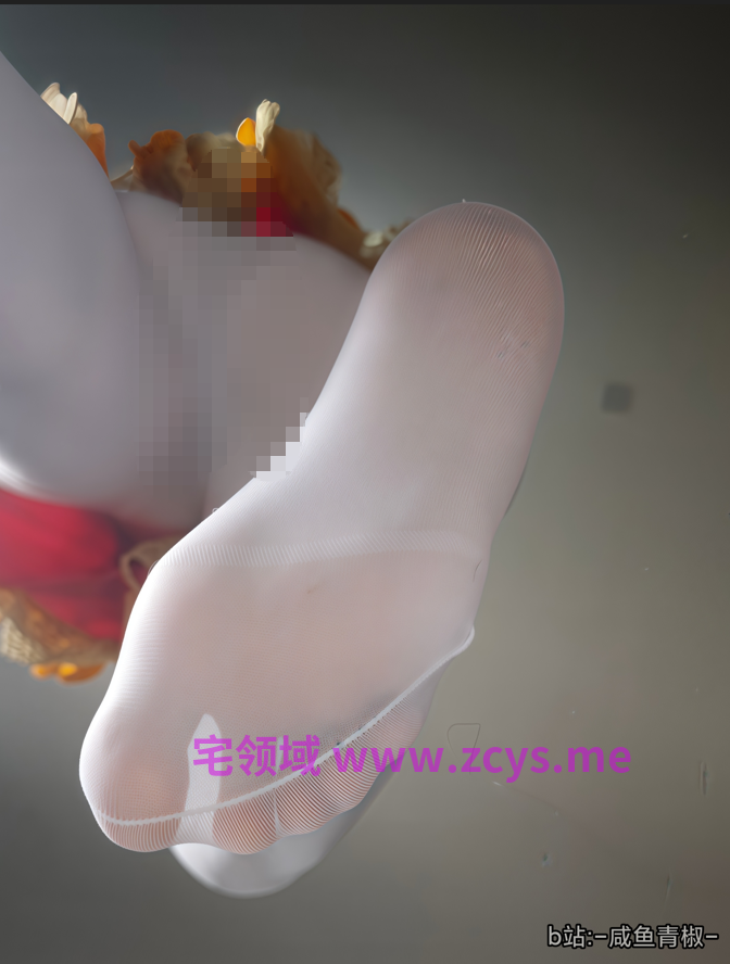 b站咸鱼青椒∕尼禄 真空白丝【96P 253MB】
