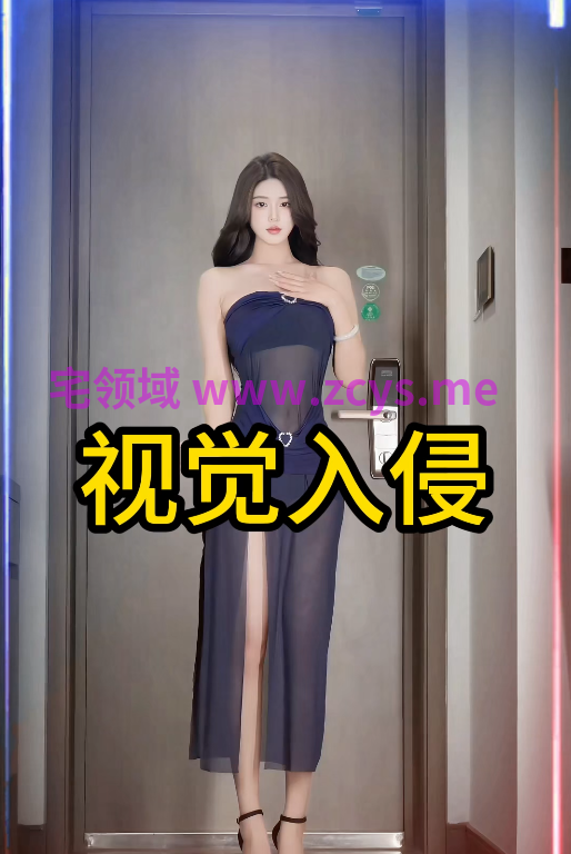 视觉入侵 1V1.15G百度盘