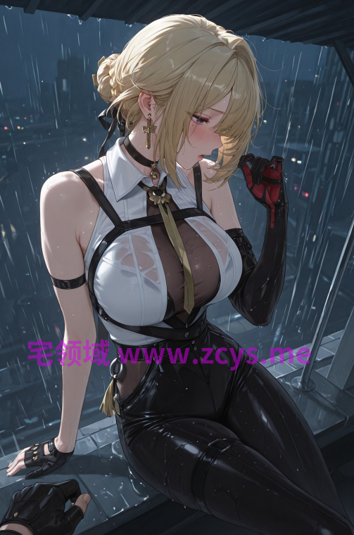 [Yuni330] 伊芙琳·舒瓦利耶 - 雨夜 [294P/160M]