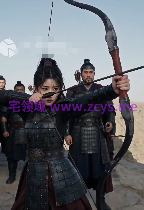 替嫁将军府1-10集完结[660M]